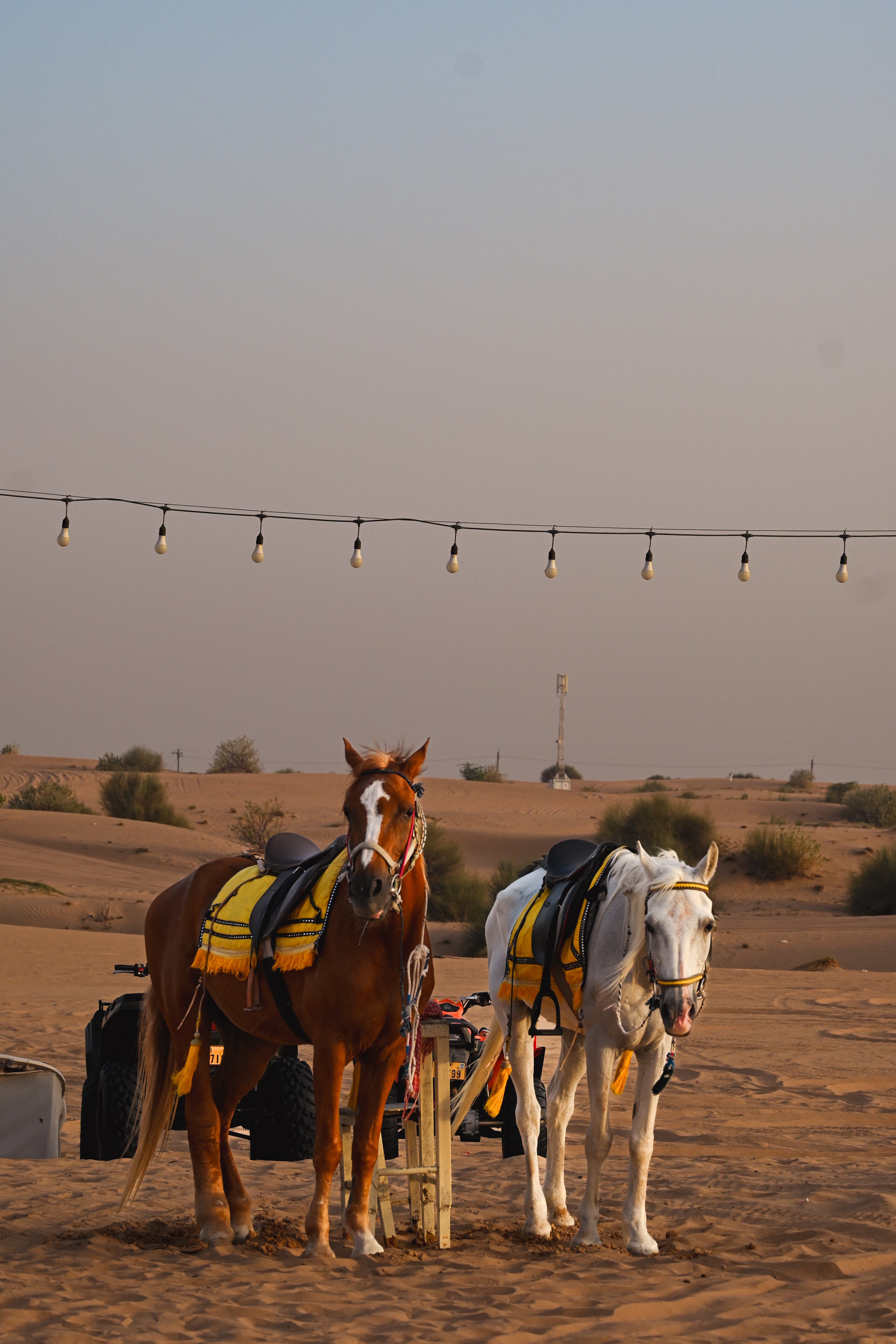 PİCART'IN GÖZÜNDEN DUBAİ ÇÖLÜNÜ KEŞFEDİN!