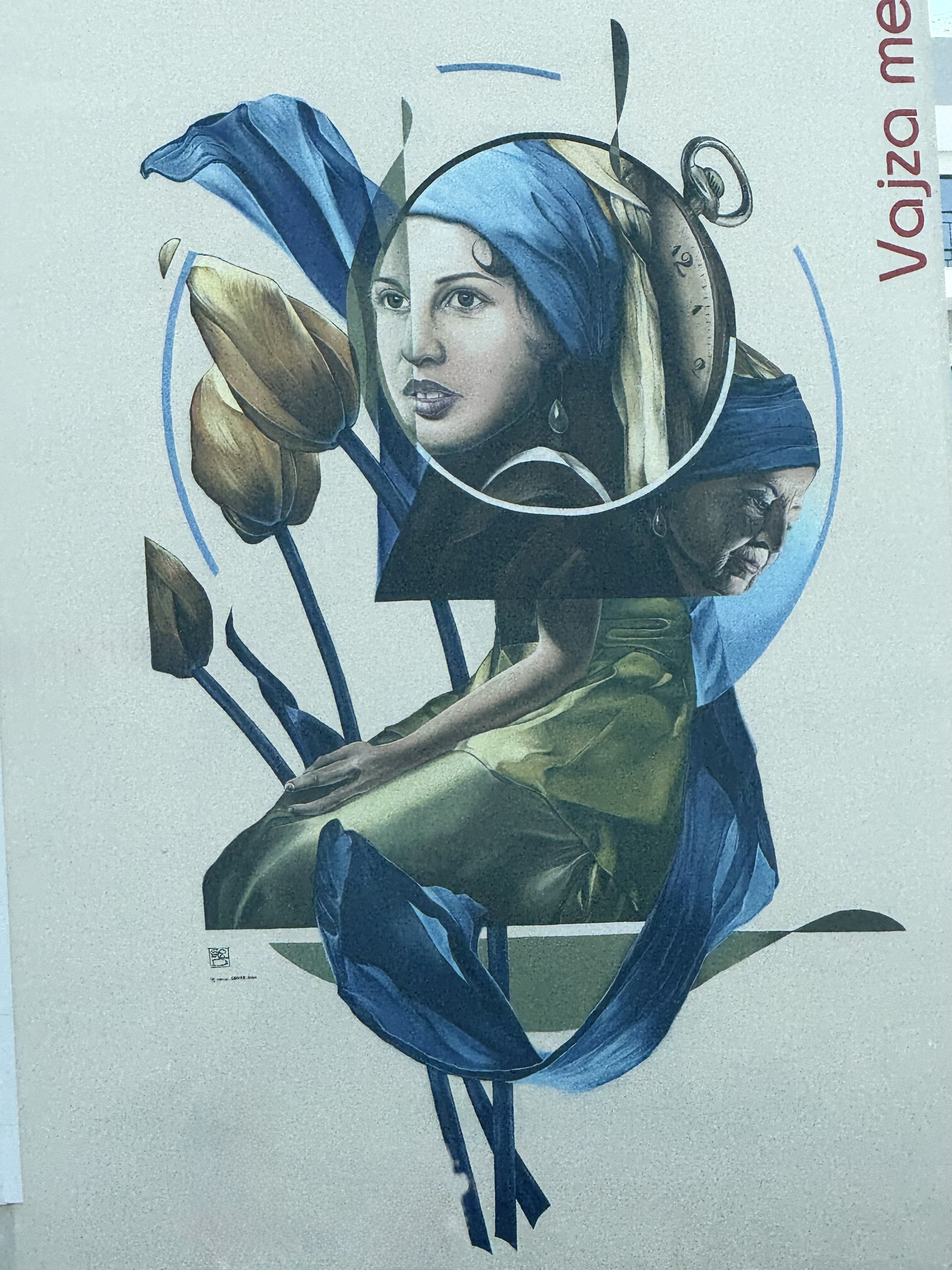 PİCART ARNAVUTLUK KÜLTÜRÜ KADRAJDA!